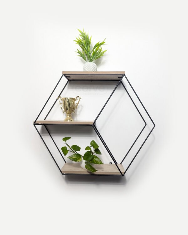 Clyra Wall Decor Shelf