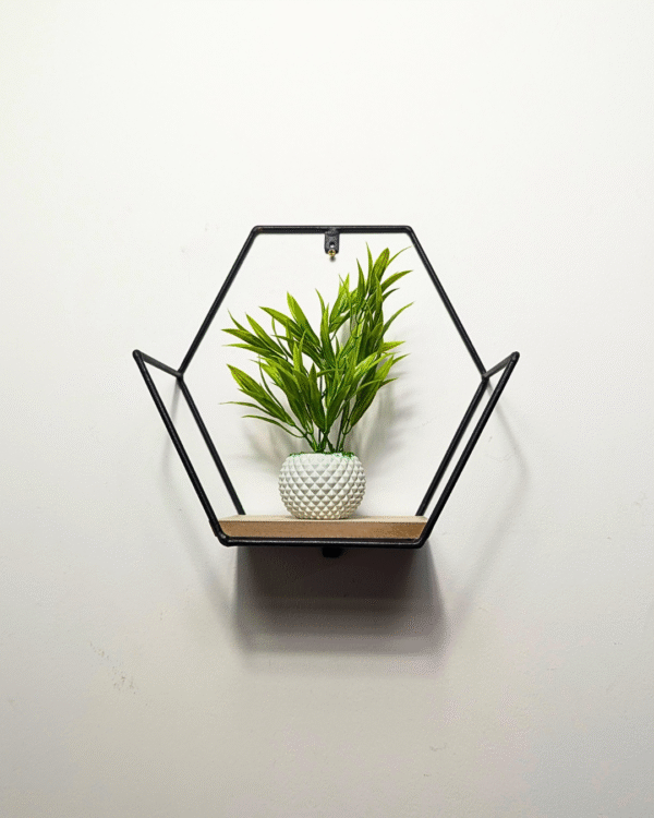 Noir Wall Decor Shelf- CRV- WD001