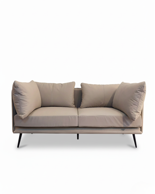 Luxurious Modern 2-Seater Sofa - Contemporary Living Room Couch with Metal Legs