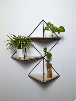 Styllen Wall Decor Shelf- CRV- WD004