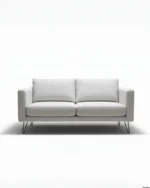 Modern Minimalist 2-Seater Sofa