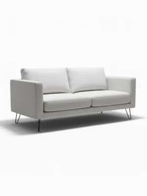 Modern Minimalist 2-Seater Sofa