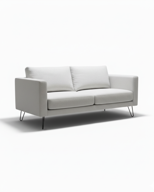 Modern Minimalist 2-Seater Sofa