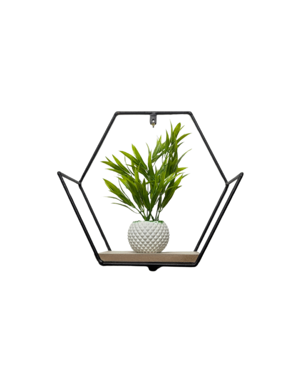 Noir Wall Decor Shelf- CRV- WD001