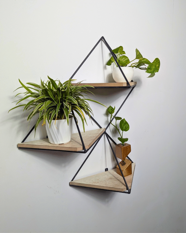 Styllen Wall Decor Shelf- CRV- WD004