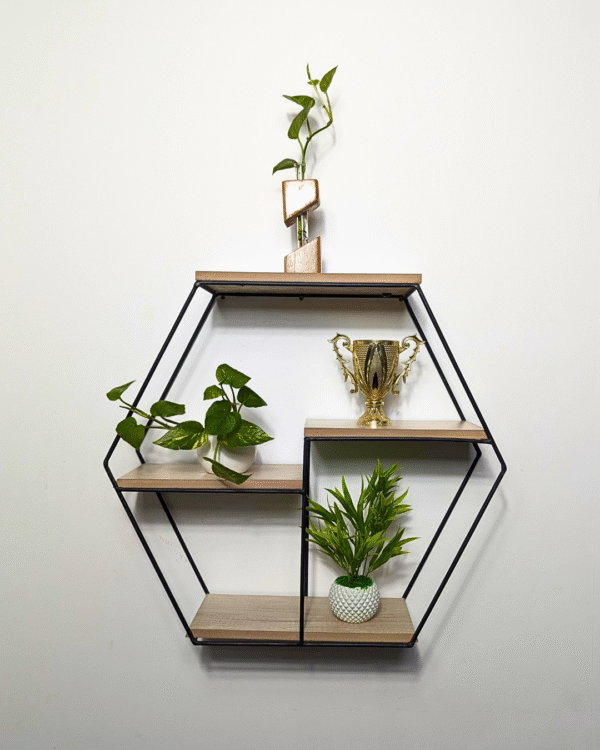 Wallence Wall Decor Shelf- CRV- WD003