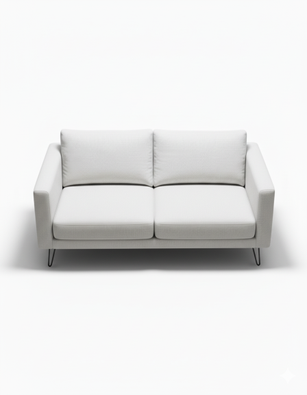 Modern Minimalist 2-Seater Sofa